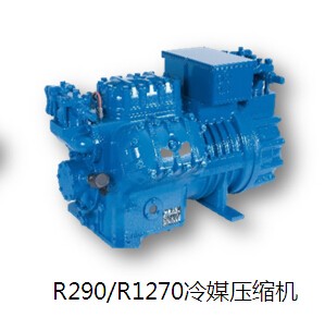 宜昌R290/R1270冷媒压缩机